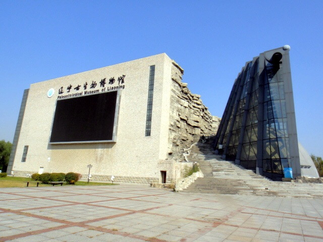 古生物.jpg