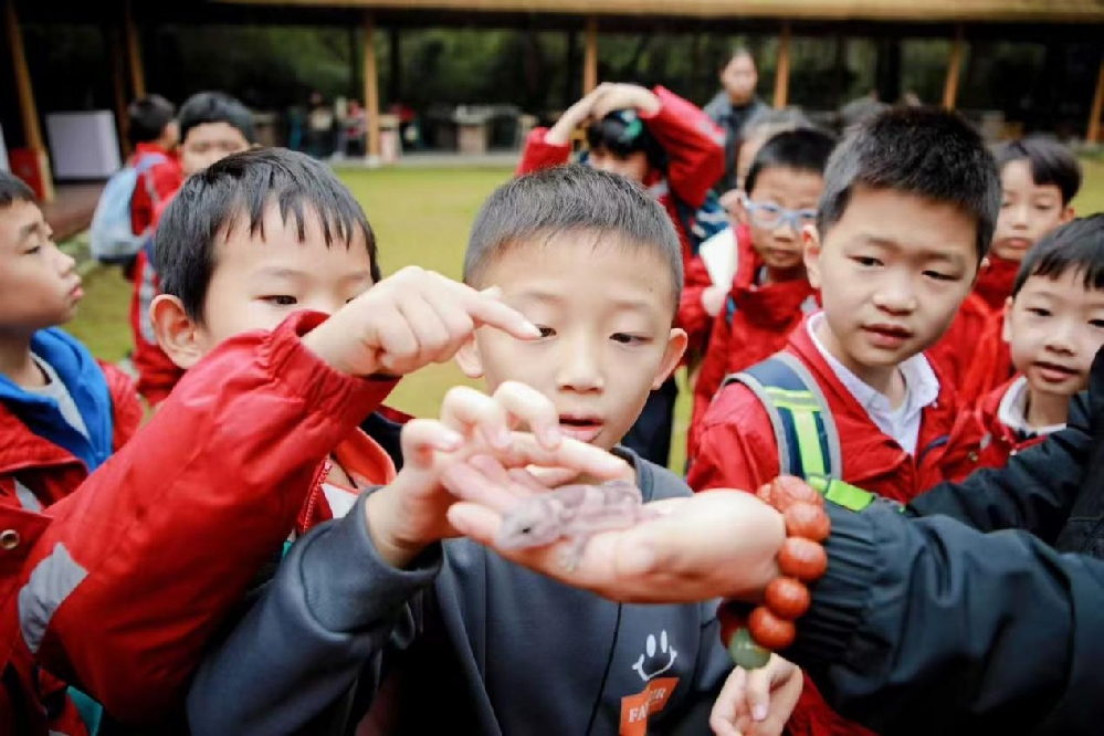 探索昆虫世界 启迪生态智慧 ——迪恩捷小学赴闵农原乡开展昆虫主题研学活动